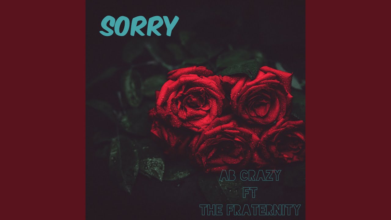 Sorry (feat. The Fratenity)