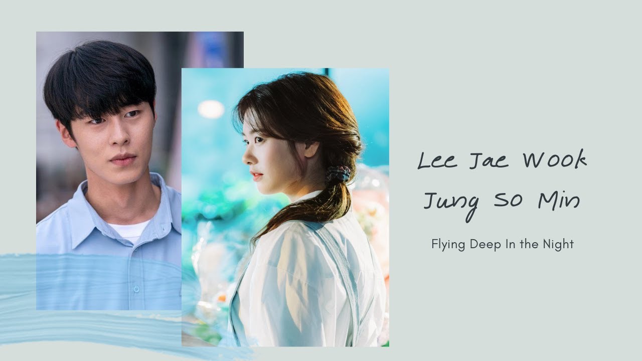 Flying Deep In the Night (김은 밤을 날아서) |Lee Jae Wook | Jung So Min 정소민 | Fanmade MV | Funny and Cute