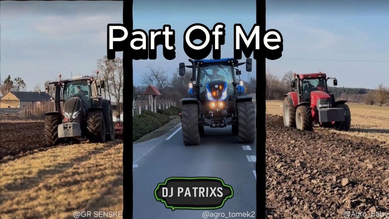 Katy Perry - Part Of Me(MASH UP DJ PATRIXS) #vixa