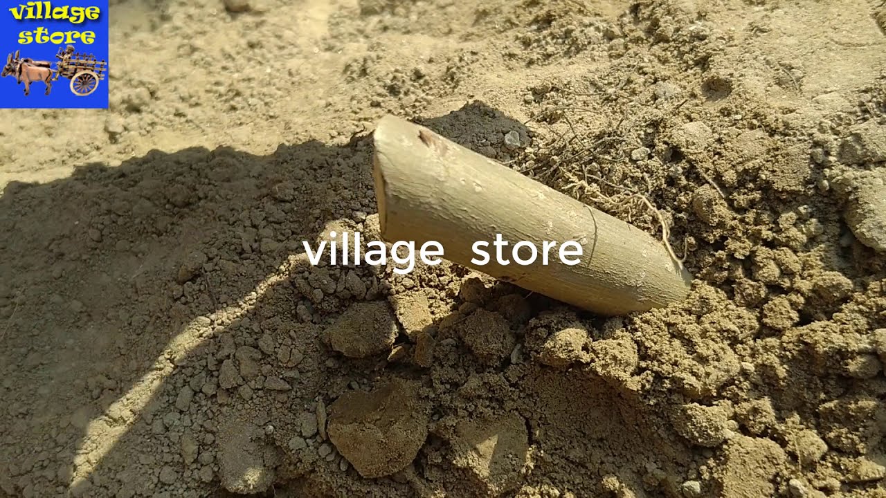 poplar ki kalam lagane ka tarika