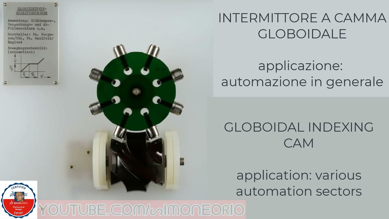 GLOBOIDAL INDEXING CAM