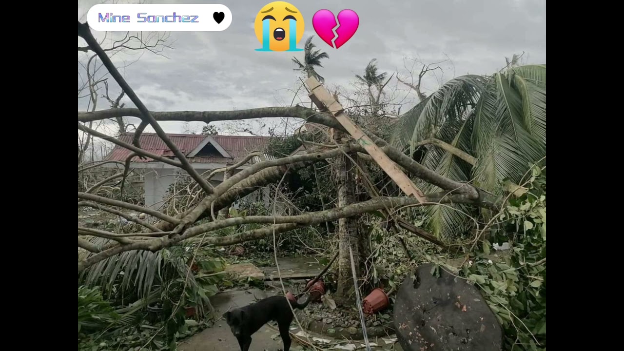 Aftermath of Super Typhoon Odette | San Miguel Bohol | Mine Sanchez