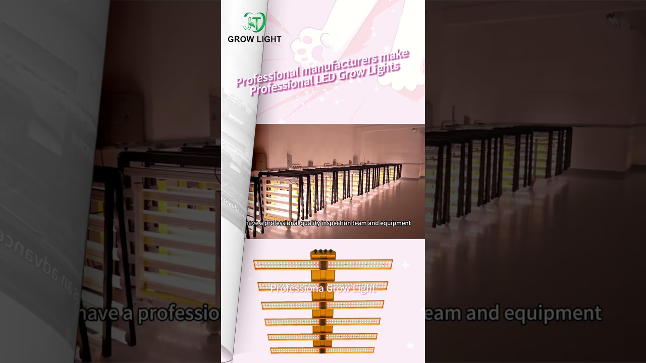 Professional manufacturers make Professional LED Grow Lights #growlights