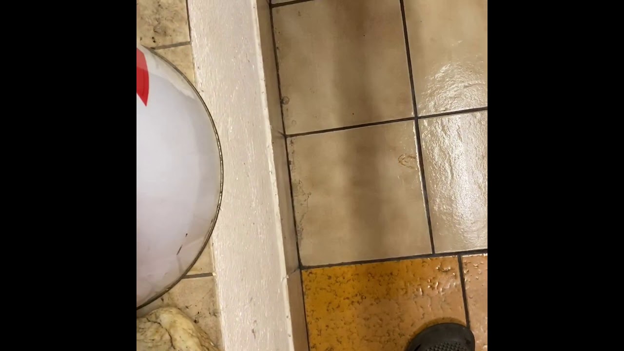 Vorwerk SP 600 Extrem Test mit 520 ml den Keller putzen.