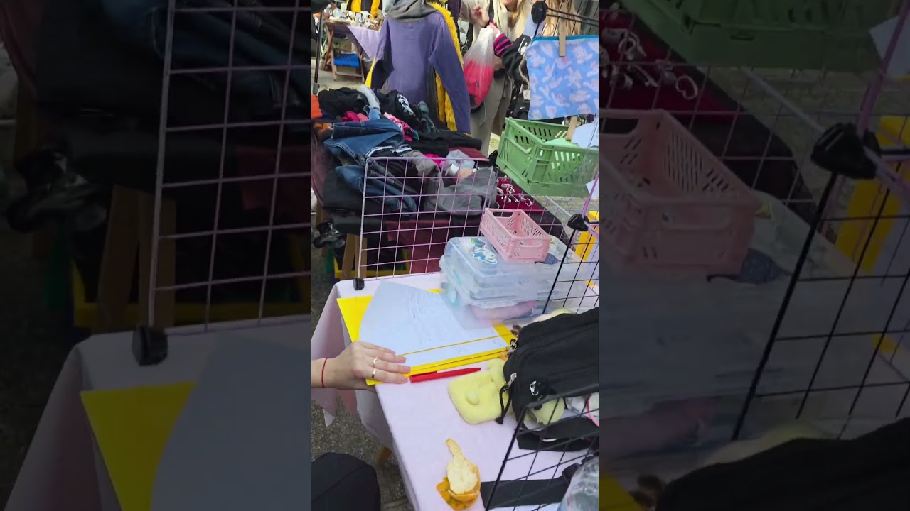 Flea market mini vlog 