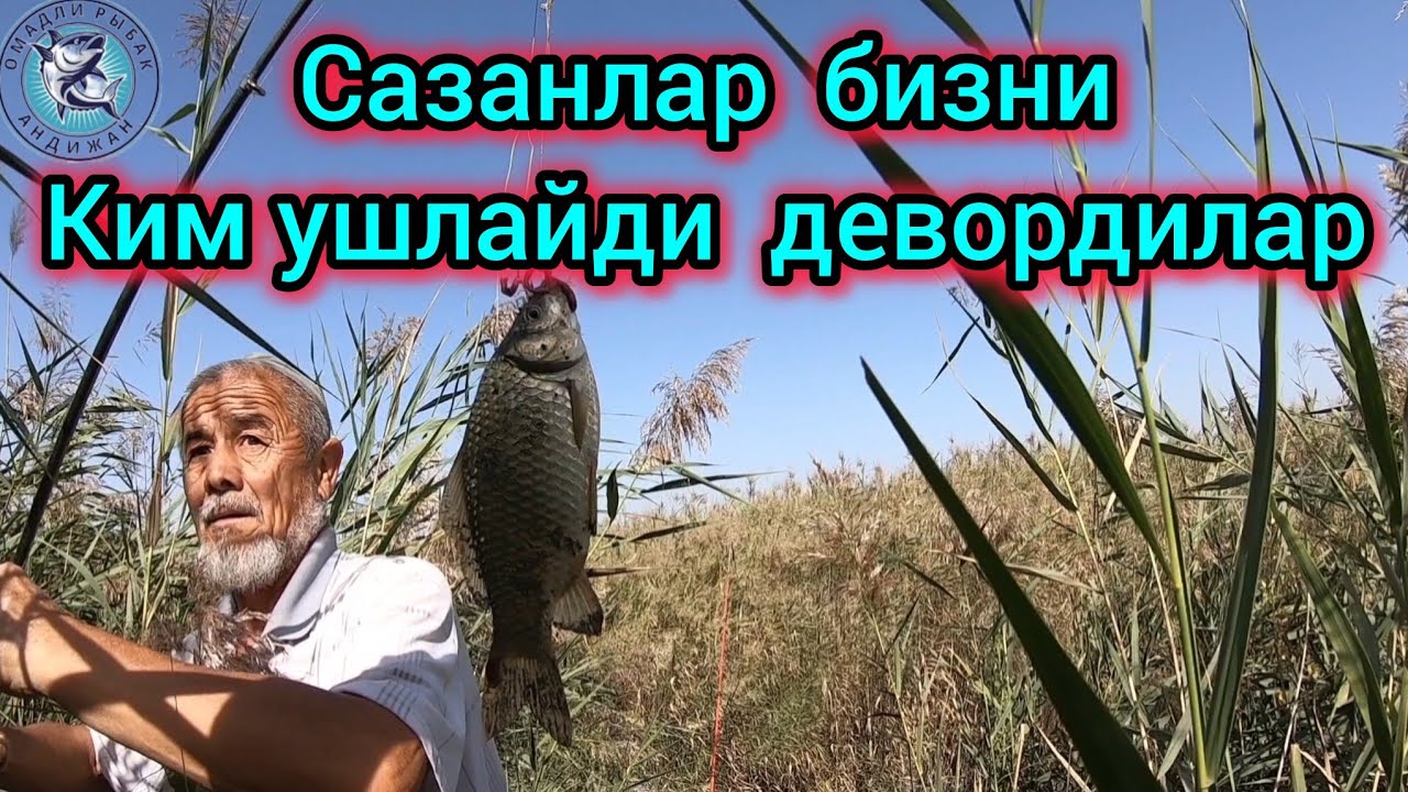 САЗАНЛАР УЗЛАРИ ИЛТИМОС КИЛЯПТИ.БИЗНИ КИМ ТУТАДИ?