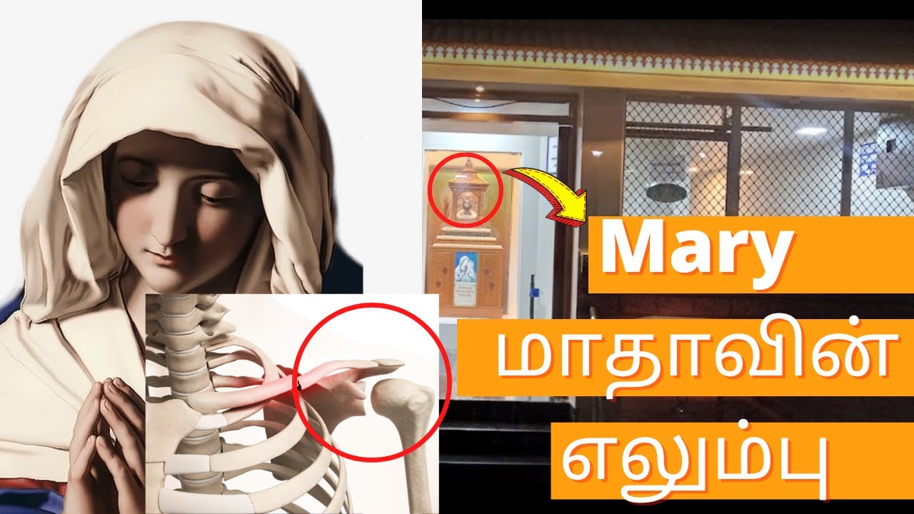 St.Mary's Bone in Chennai | hidden Church | Mary Madha #church #miracles #travel #tamil #familyvlog