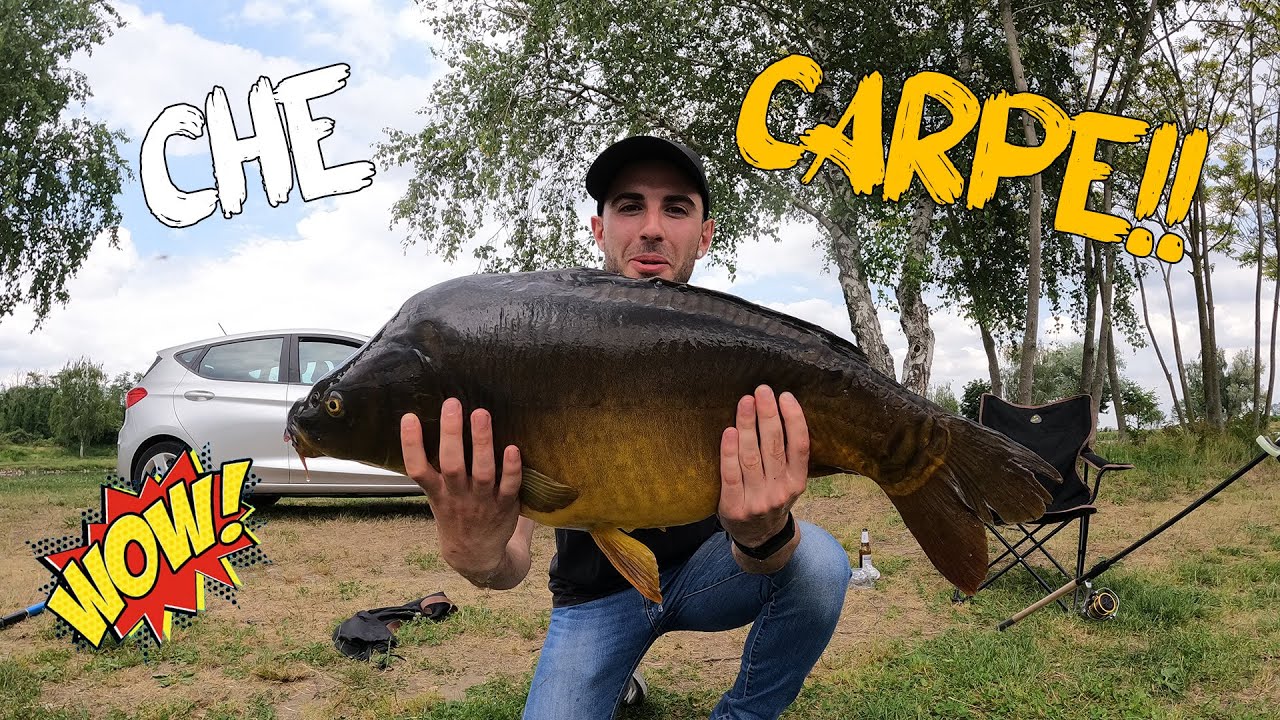 Feeder Fishing | Pescare GROSSE Carpe con Mais & Pellets [Method Vs Floating]