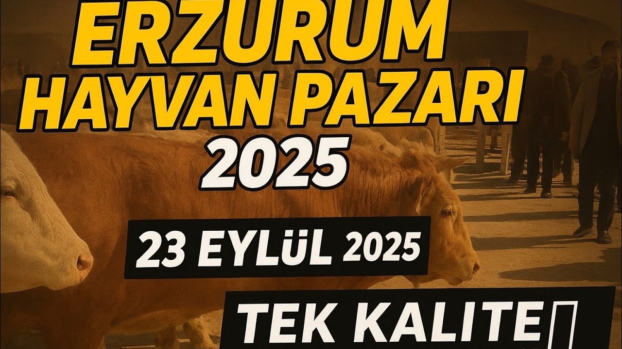 Erzurum Canlı Hayvan Pazarı 2025 🐂🐑 En Güncel Görüntüler #TekKaliteHayvancılık”