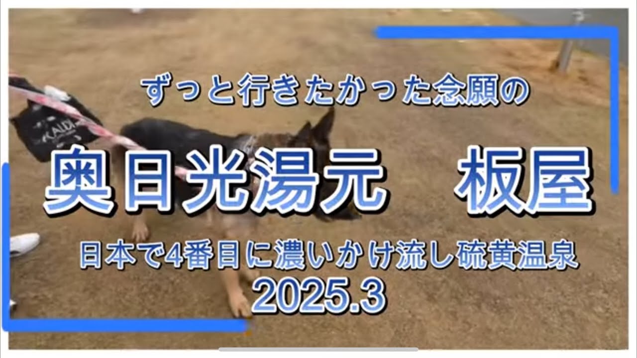 . 源泉かけ流し奥日光湯元♨　板屋 の会席膳で贅沢な食体験を満喫！2025.3土曜