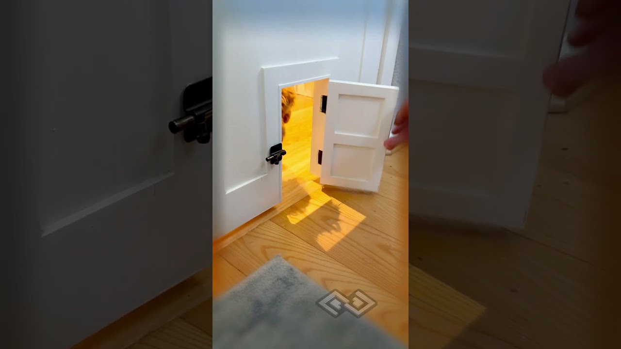 Doogie door custom built for my daughters play room #puppylife #doggieshorts #cutepuppy #cutedogs