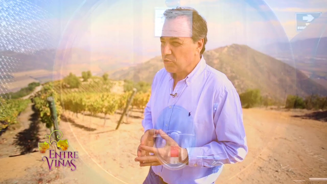 Luis Felipe Edwards | Entre Viñas - T1E5