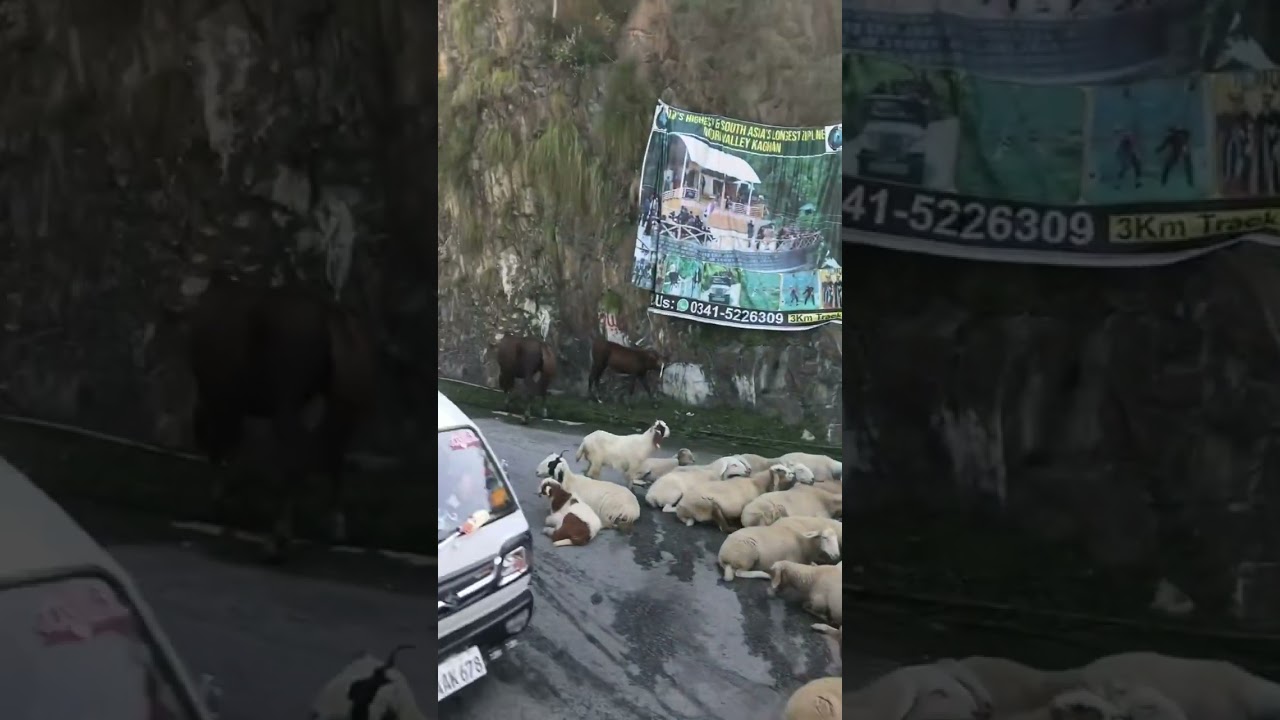 #Naran ka rasta ⛰🌲🥰🛣