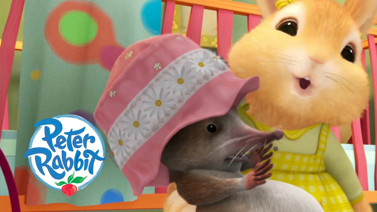 Peter Rabbit - Cottontail's New Friend