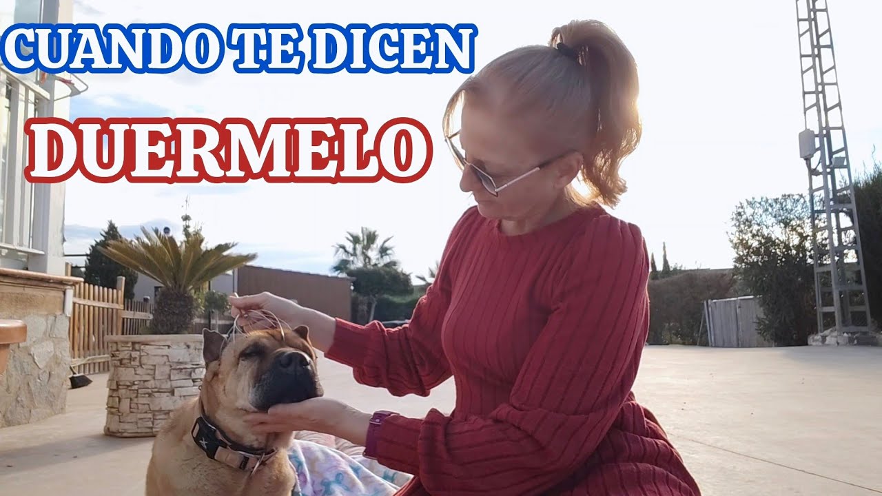 ENTENDÍ QUIÉN SABE AMAR DE VERDAD//CUANDO TE DICEN DUÉRMELO
