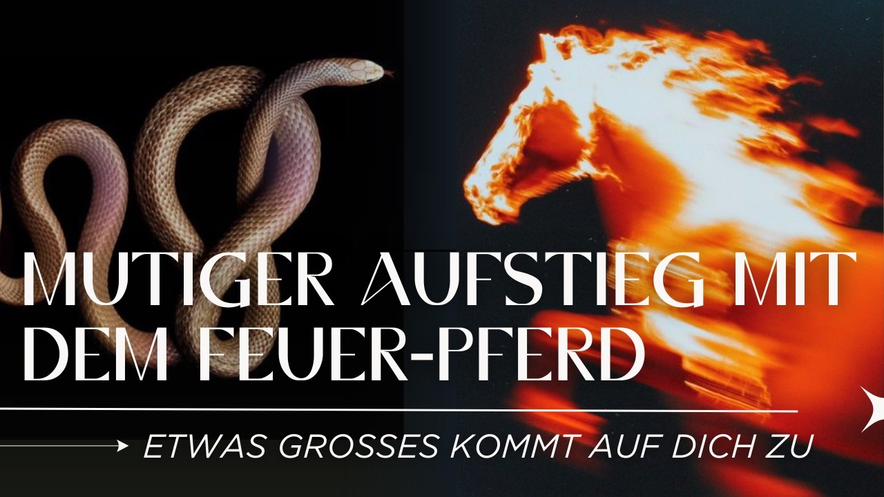 von Holz-Schlange zu FEUER-PFERD 2026 - Bedeutung, Energie & warum es JETZT kein zur&uuml;ck mehr gibt
