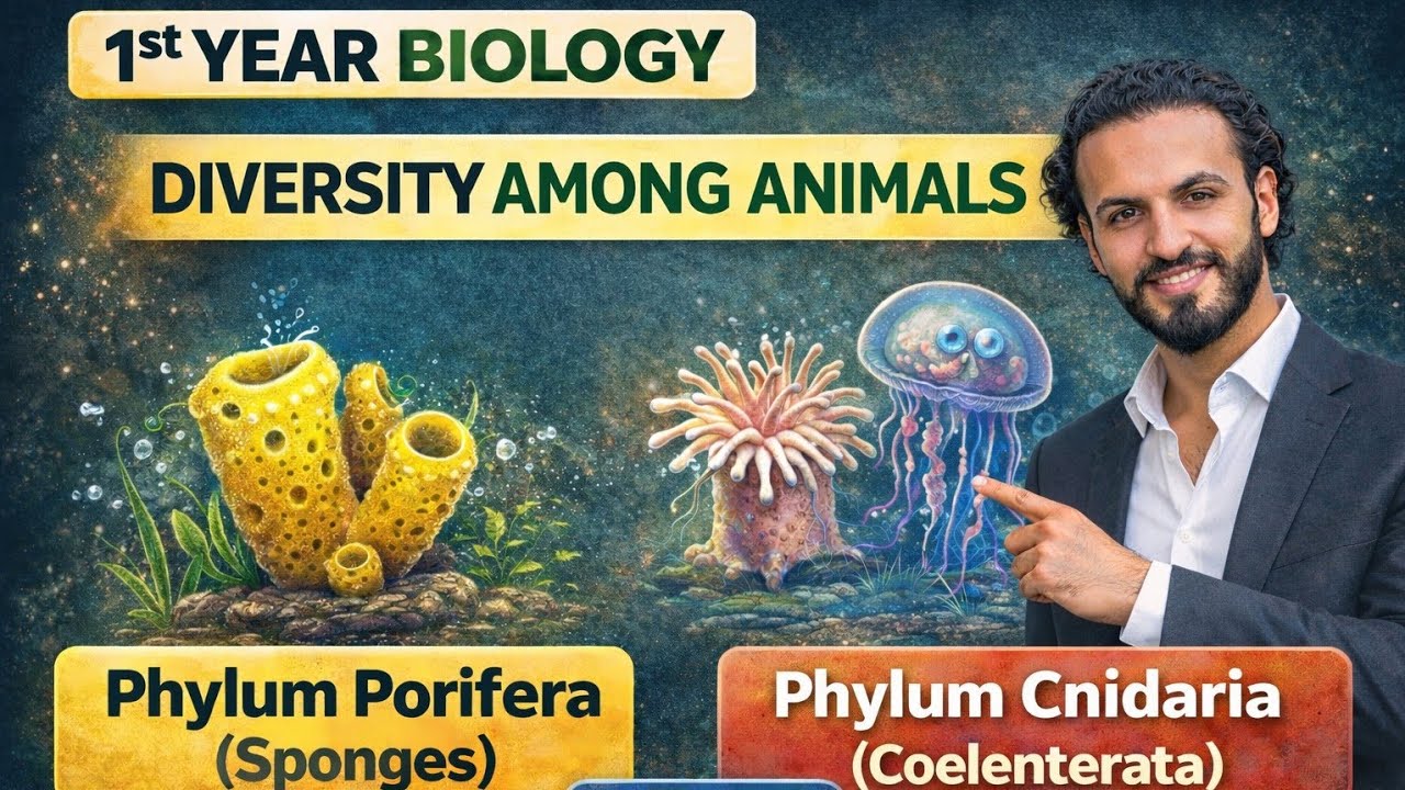 L2: Phylum Porifera & Cnidaria Explained | Diversity Among Animals | First Year Biology by Tutor