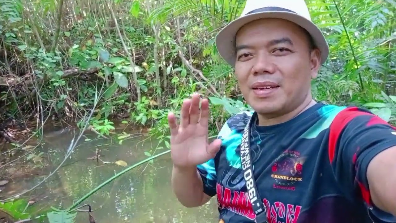 LOKASI  VLOG AREA TELAGA LAMA C ANG NGAAR GUYS TERKINI  SERTA KEINDAHAN ALAMI