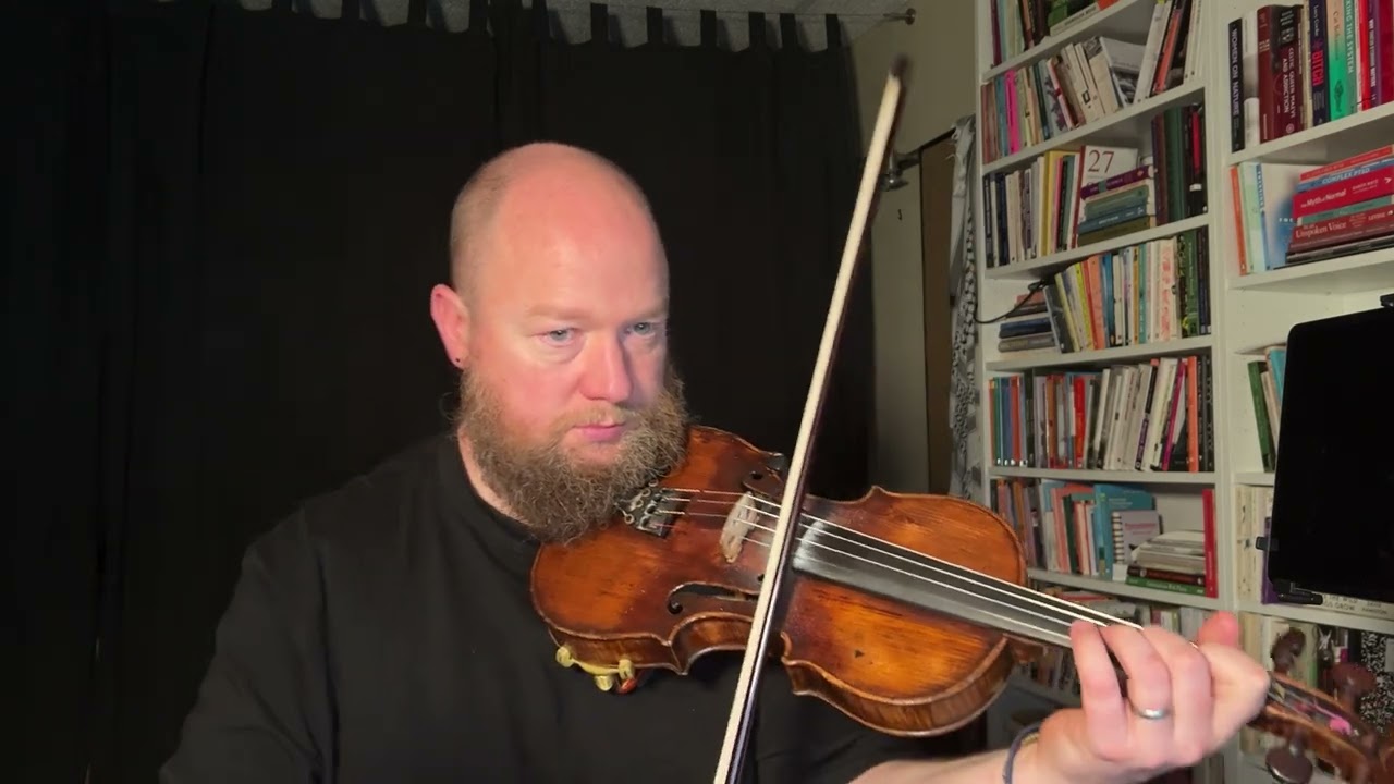 The Beautiful Goldfinch - Fergal's Tune a Day 1703