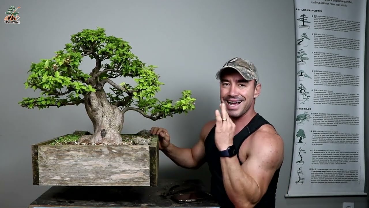 COLOCANDO UM BONSAI DE PRIMAVERA NO VASO DEFINITIVO - SUPER DOTADO / ALTAS HABILIDADES