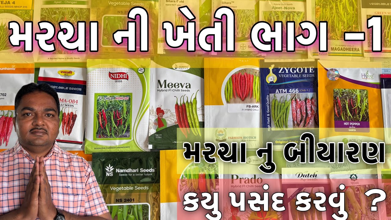મરચા ની ખેતી ભાગ 1 | મરચા ના બીયારણ ની પસંદગી | બેસ્ટ મરચા બીયારણ | chilly seeds