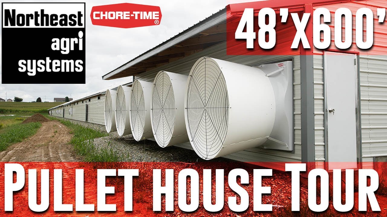 Brand New Pullet House Tour | Chore-time | 48'x600'