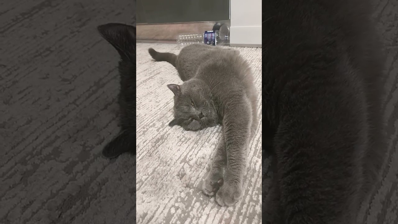 #depresyon