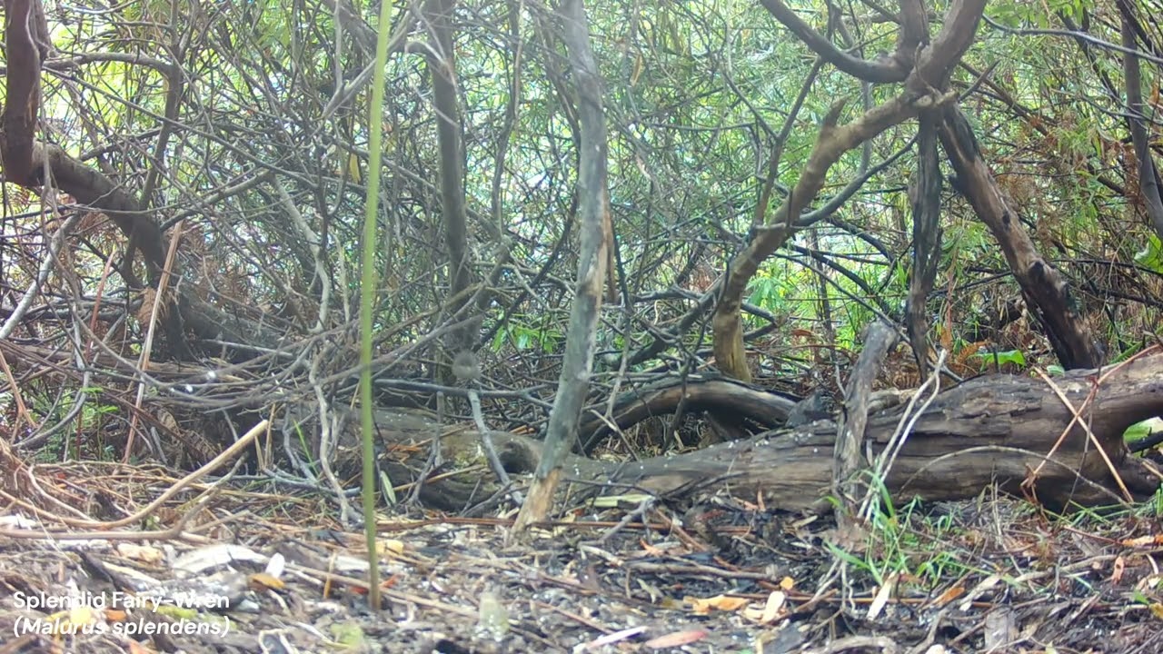 Southwest of Western Australia