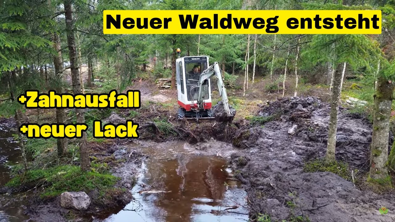 Ein neuer Waldweg entsteht, Zahnausfall auf der Baustelle und neuer Lack f&uuml;r den Bagger