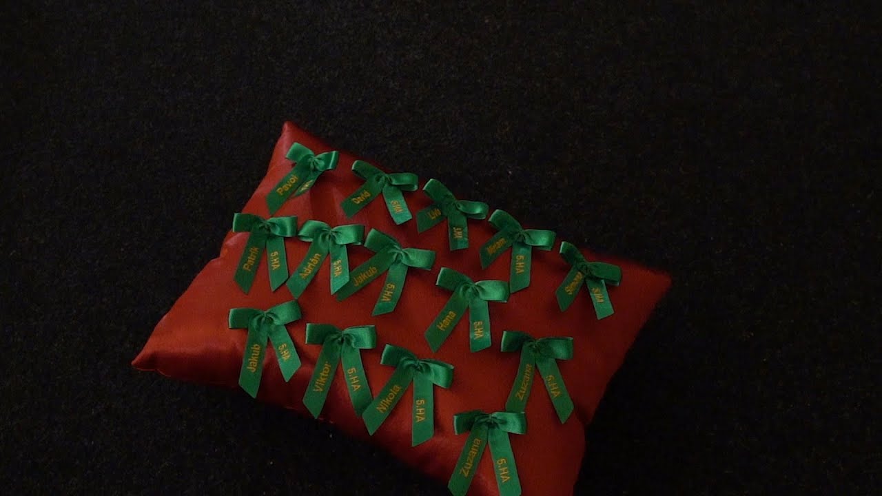 Galavečer stužková slávnosť 5.HA