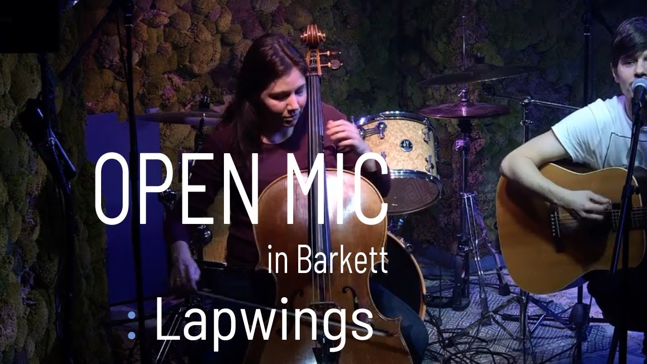 Duo from Berlin | Lapwings at Barkett Open Mic 29 01 2018