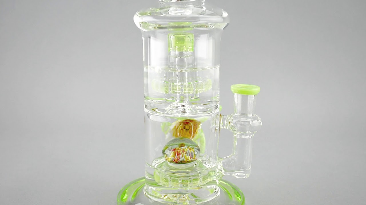 Cheech Glass Double Chamber Sea Turtle Bong