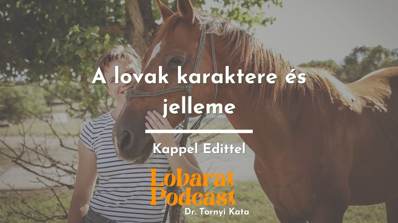 A lovak karaktere és jelleme - beszélgetés Kappel Edittel