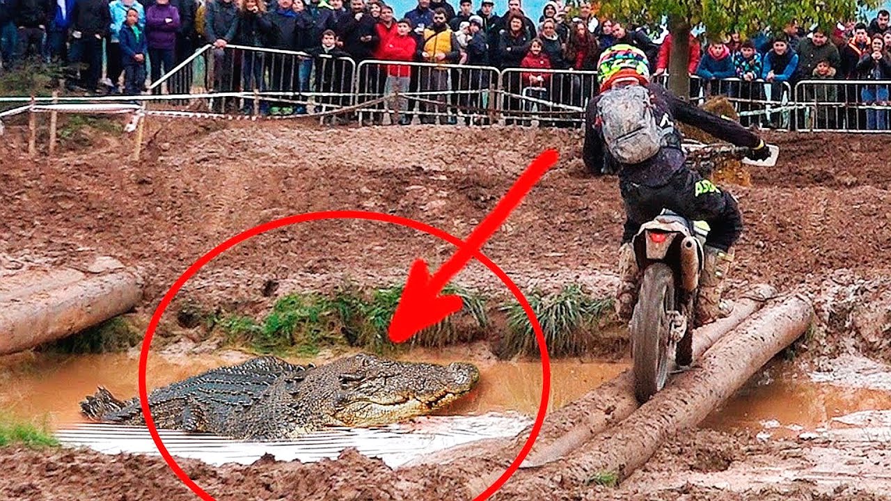 10 Sportler, die unfassbare Stunts gewagt haben