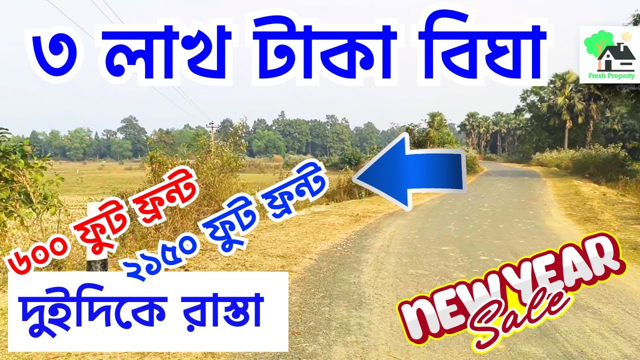 Fp - 1099 | সস্তায় পিচরোডের পাশে জমি কিনুন | 9073 145 145