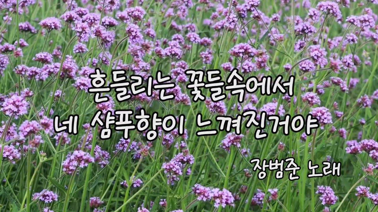 흔들리는 꽃들속에서 네 샴푸향이 느껴진거야 Ocarina cover 