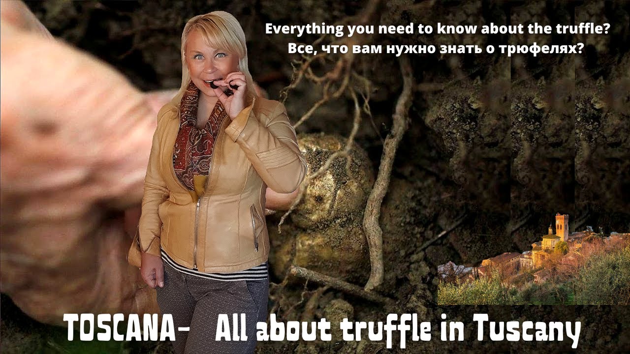 Truffle in Tuscany: history and secrets 1° | Трюфель в Тоскане: история и секреты