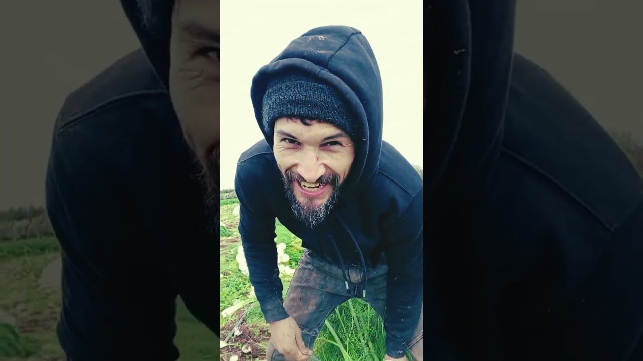 شاهد طريقة جني البسباس #فلاحة#مغربية