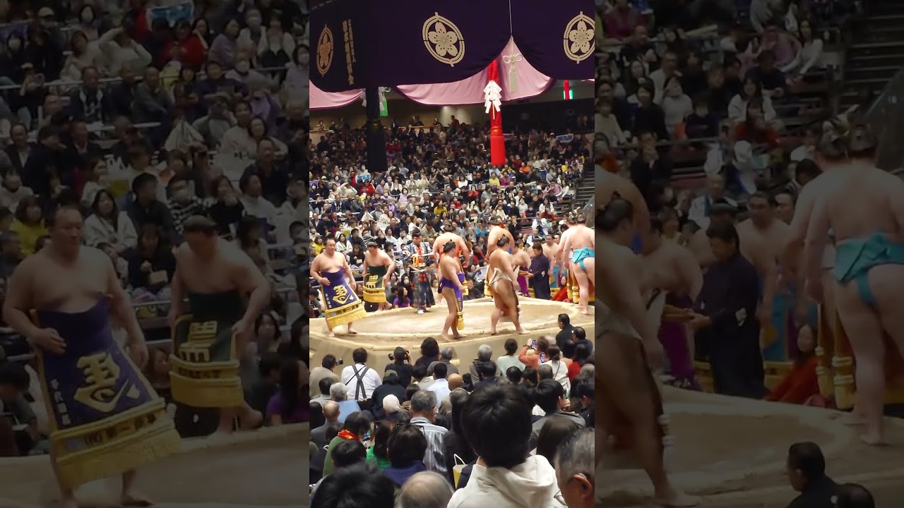 幕内力士土俵入り#両国#大相撲#両国国技館 #両国 