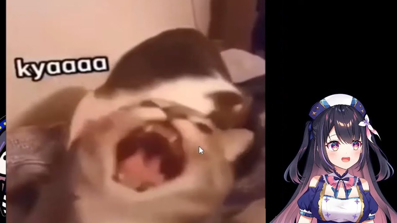 &iquest;Onii-chan? 😳 (Hina Misora)