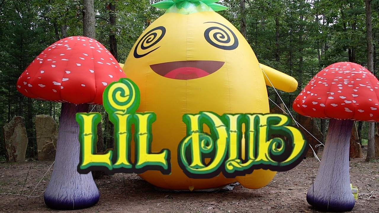 Lil Dub EDM Festival Aftermovie