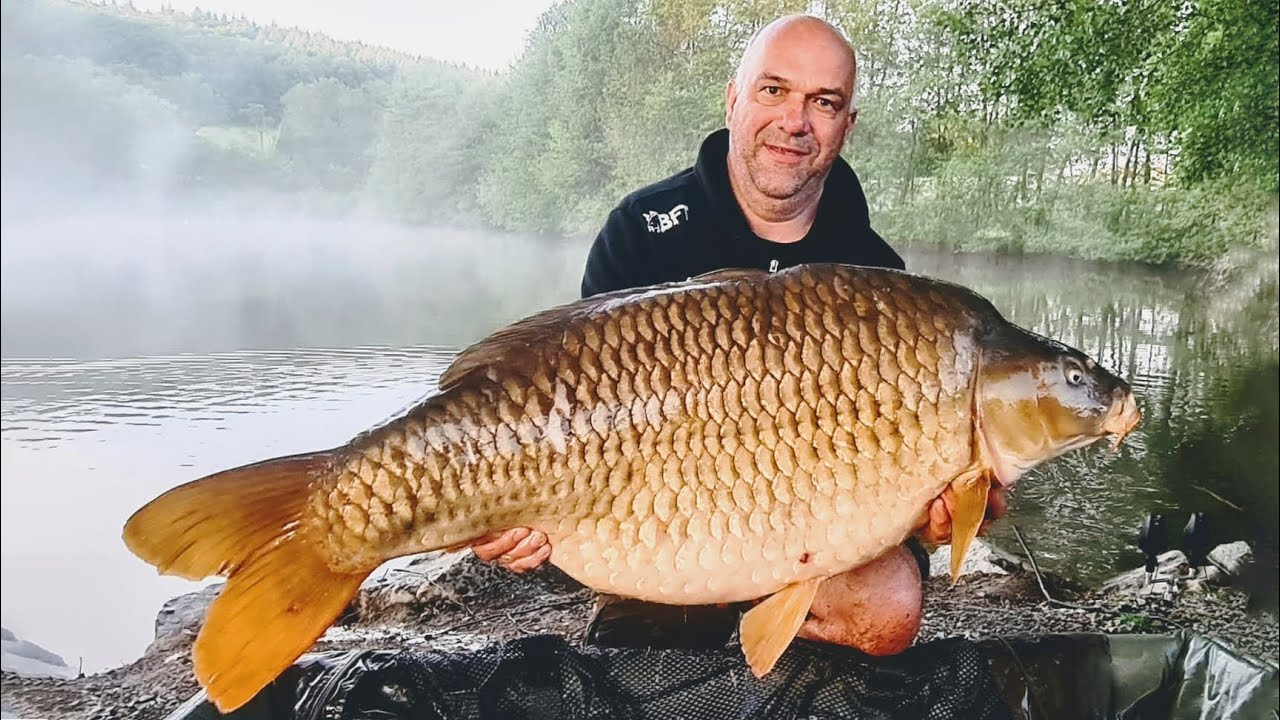 The Carpy Cast - Ende Mai 2022 - Neue 30 Kilo Monster-Karpfen und tolle Sessions unserer Gäste