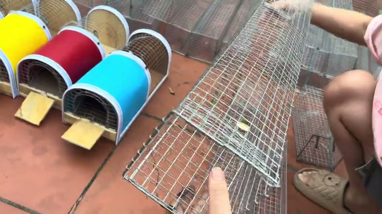 🐁🐁🐀🐀LỒNG RẮN, LỒNG CHUỘT RẤT CHẮC CHẮN♨️💯💯