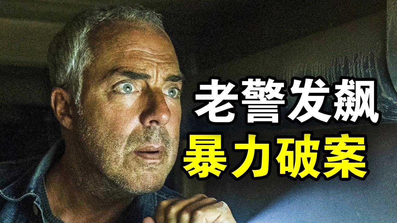老警探争夺400万黑钱，大战黑警联盟，千里追凶毫无尿点，一口气看完犯罪悬疑美剧《博斯第二季》！