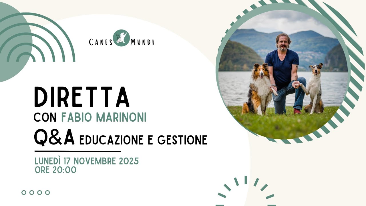 [GRATIS] Serata Consigli Educativi