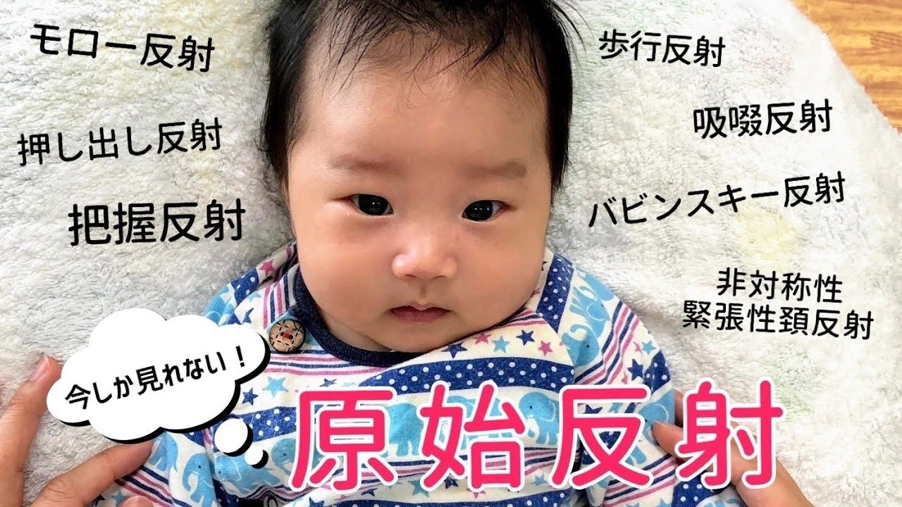 【赤ちゃんの反射】期間限定の原始反射！