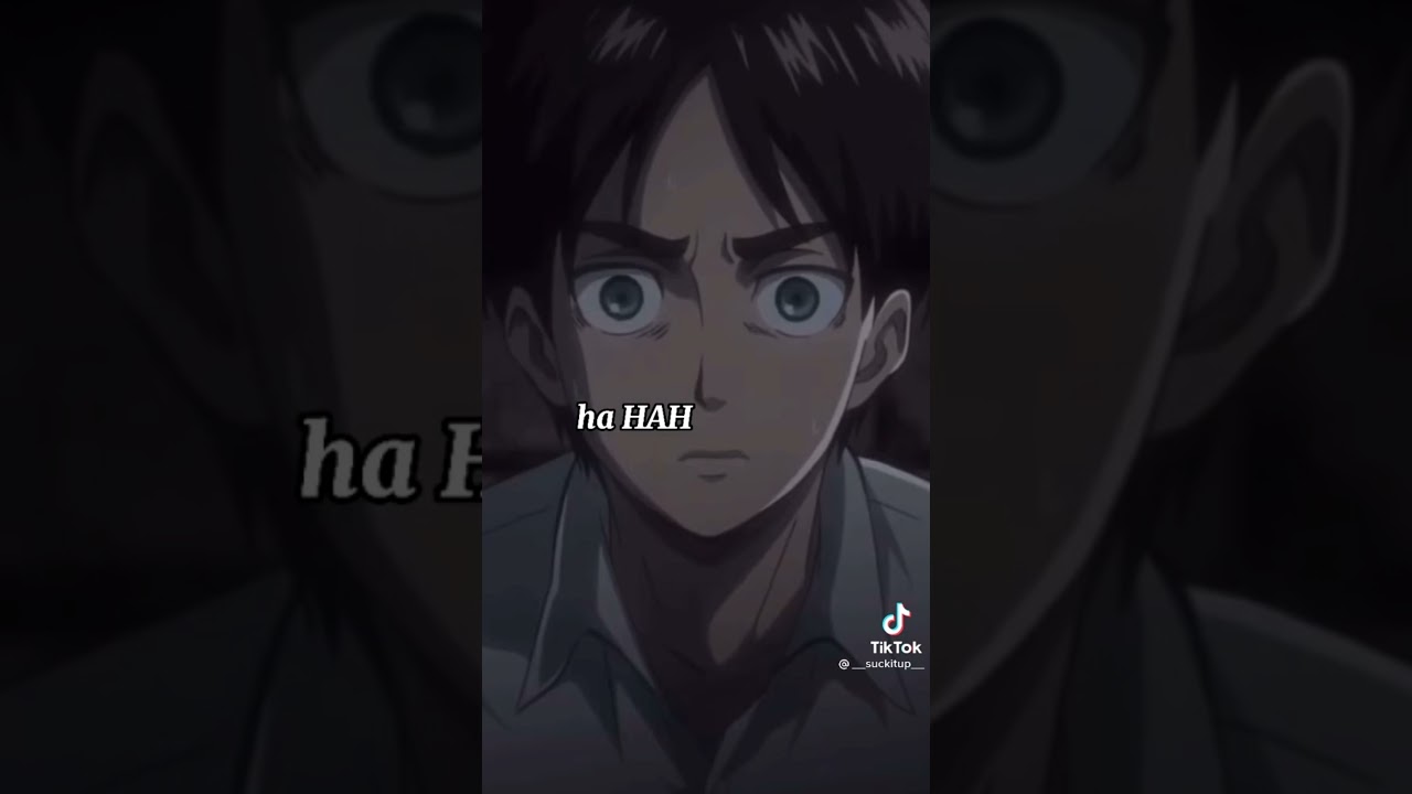 Levi on crack 1-15 | Attack on Titan videos | 🛑SWEAR WARNING 🛑