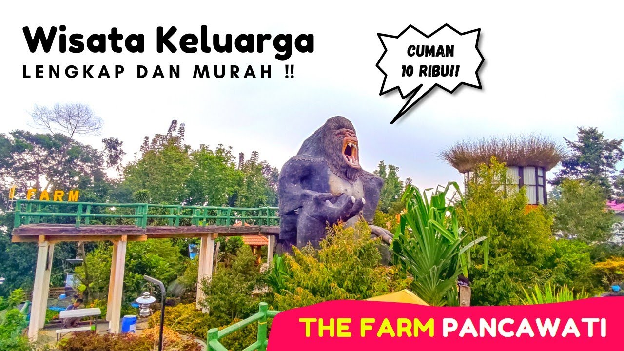THE FARM PANCAWATI | Review Wisata Murah ‼️ Cuman 10 Ribu Ada Mini Zoo dan View Gunung Salak