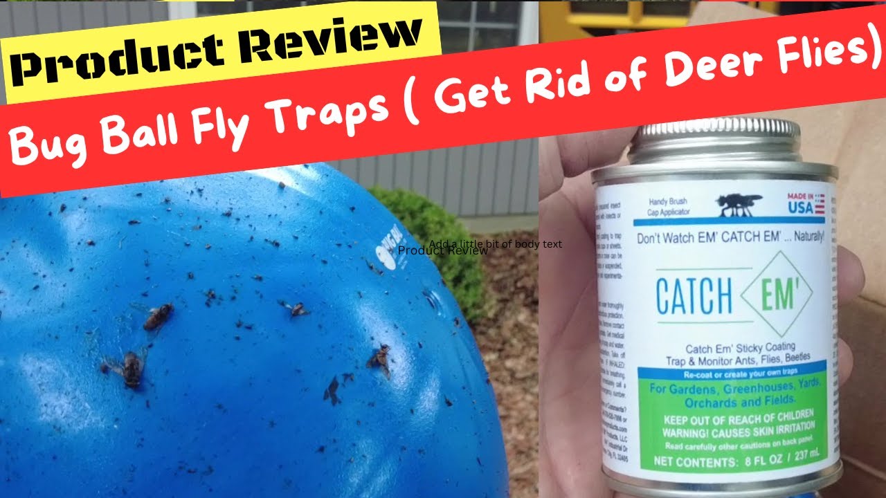 Product Review Bug Ball Fly Traps (Get Rid of Deer Flys)