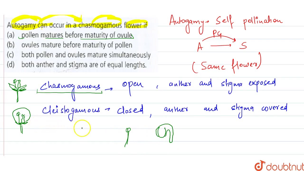 Autogamy can occur in a chasmogamous flower if